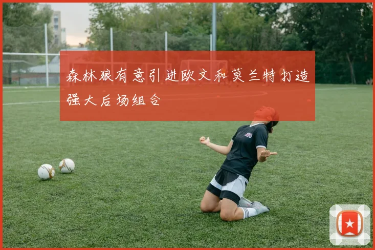 森林狼有意引进欧文和莫兰特打造强大后场组合